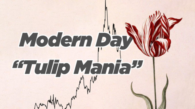 Modern Day Tulip Mania