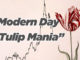 Modern Day Tulip Mania