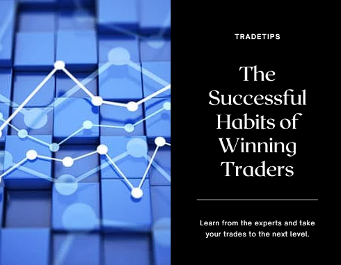 Successful Habits of Winning Traders